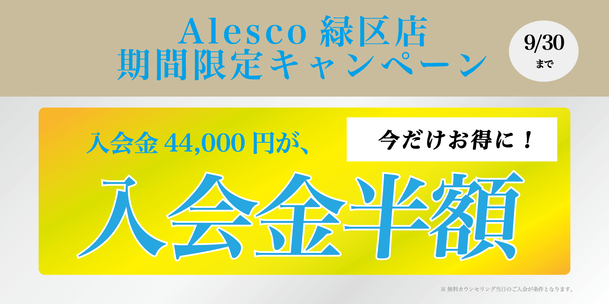 ALESCO_7-banner