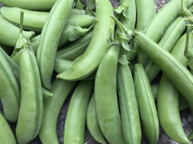 目的に合わせたプロテインの選び方