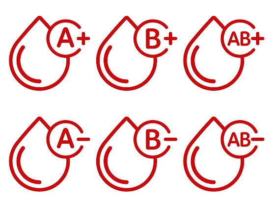 短期間のボディメイク効果を感じることができる