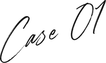 CASE01